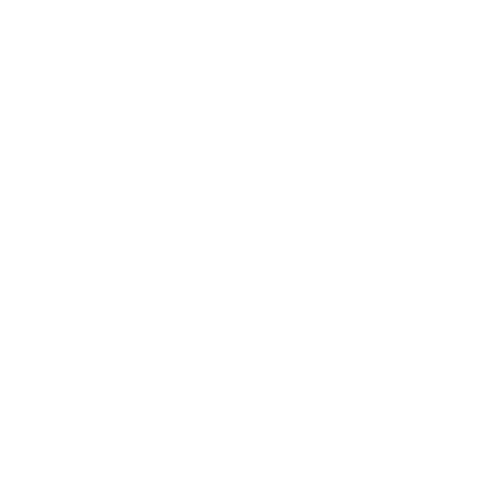 Logo Femmes Rondes Conseil en Image